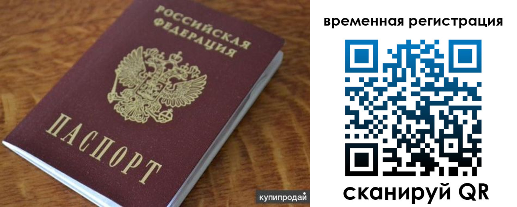 временная регистрация для всех в Светлогорске